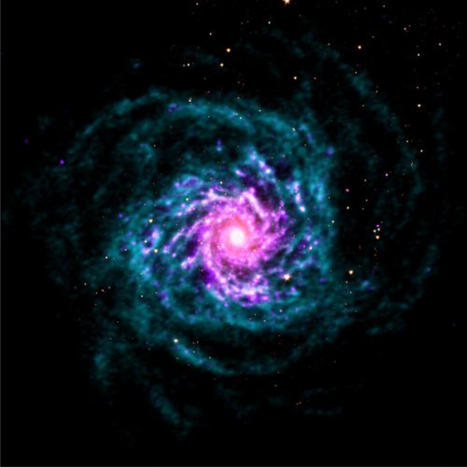 Our Cosmic History